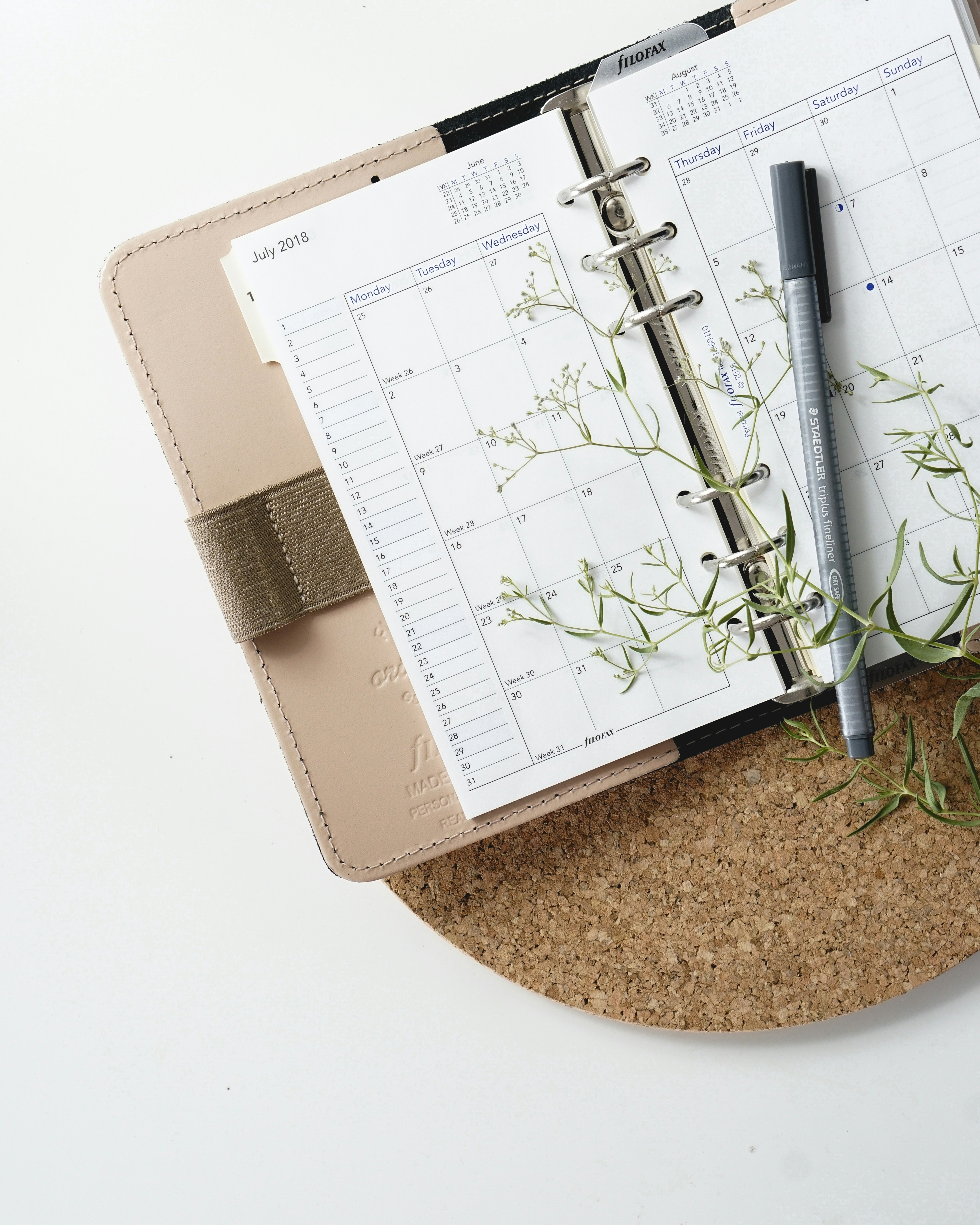 image of an appointment book with green plant