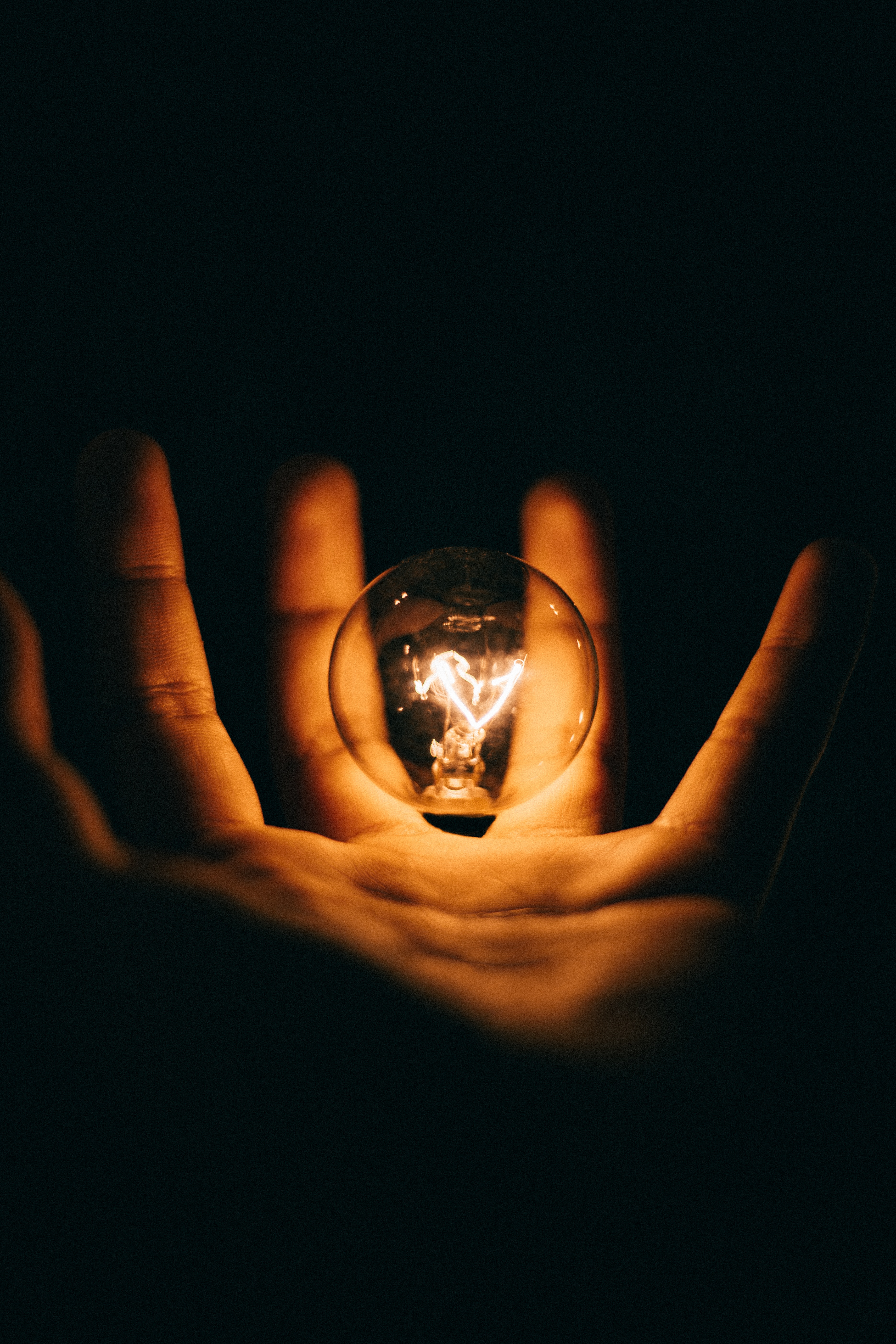 black background illuminated by floating lightbulb above an open hand
